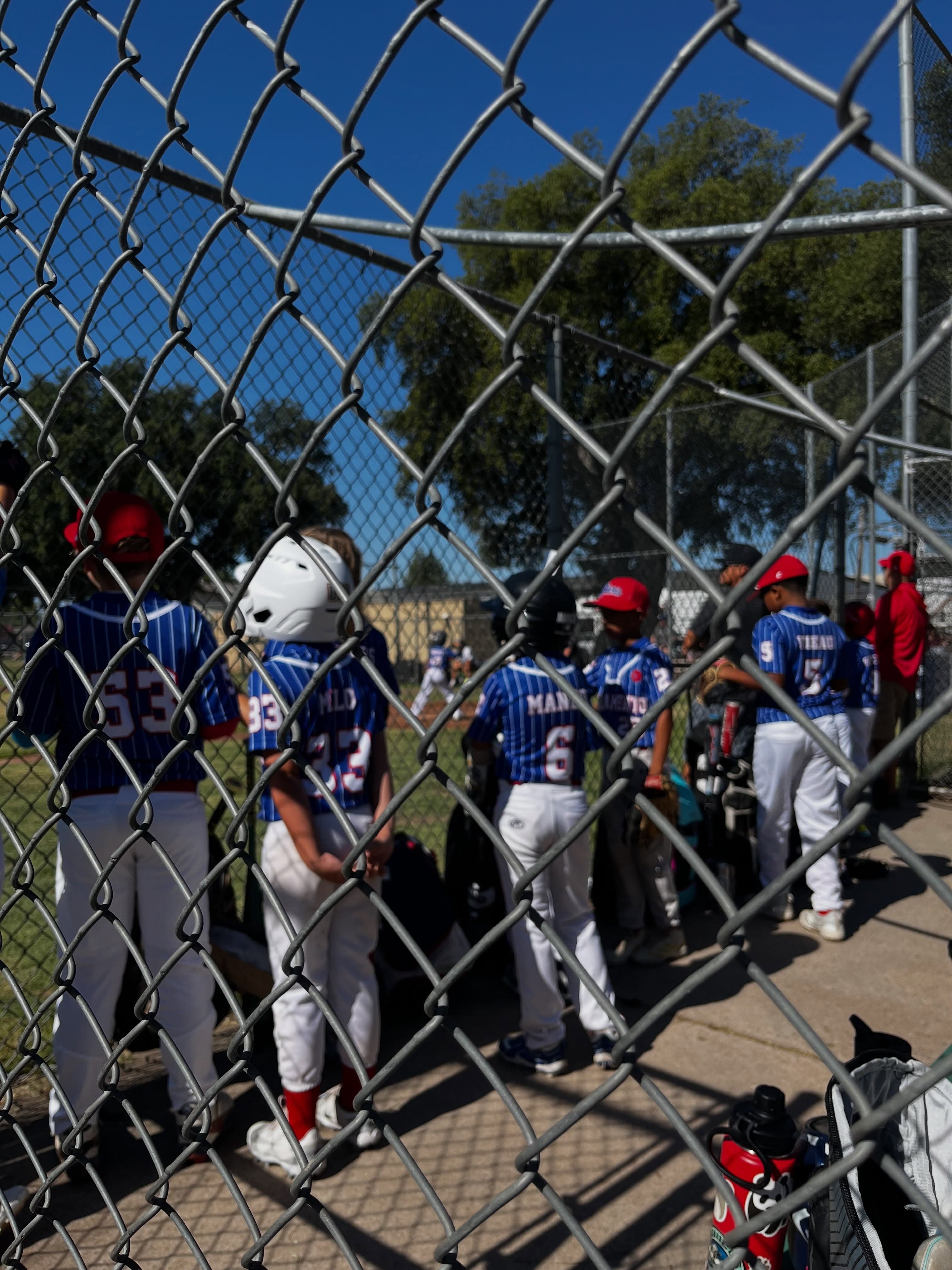Stars players stand along the fence in the dugout during a game.